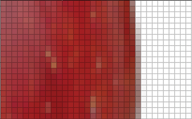 Pixel Grid